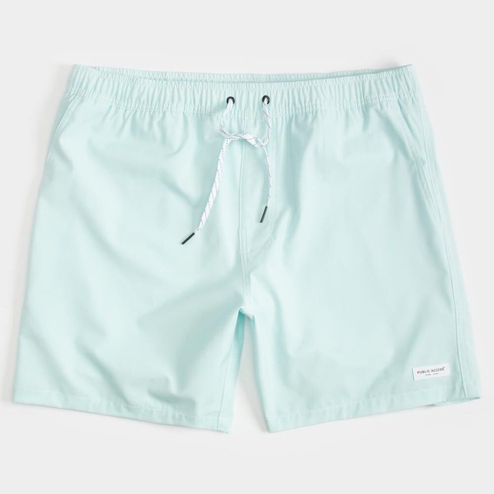PUBLIC ACCESS Vintage Walker Mens Light Blue Volley Shorts (Medium)